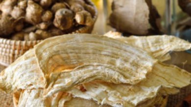 Health Benefits of Pueraria Mirifica